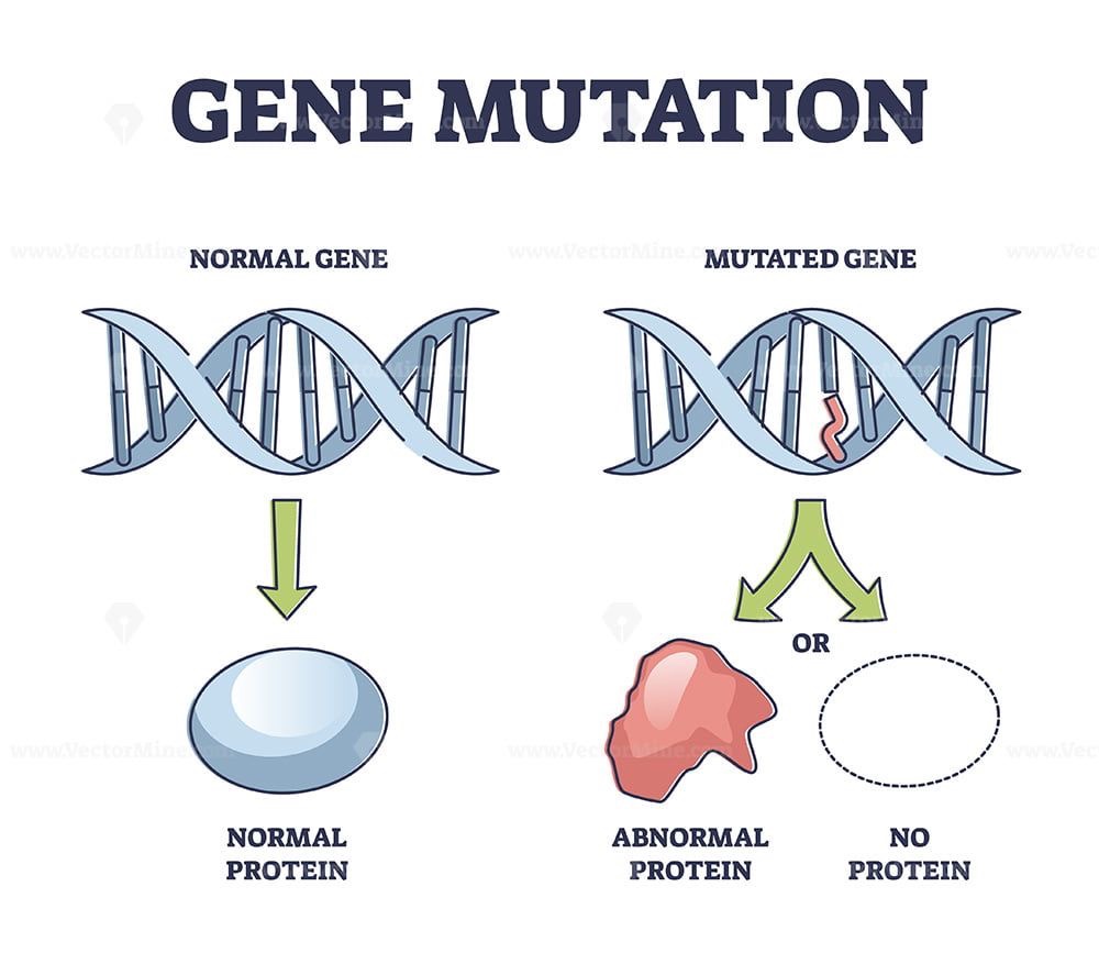 Breaking Down the Science of Mutations: What You Need to Know About ...